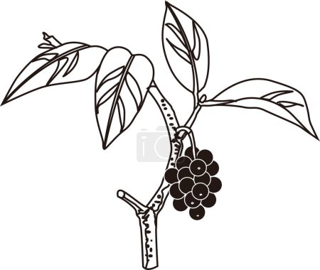 Photo for Berries on branch outline illustration, food concept - Royalty Free Image