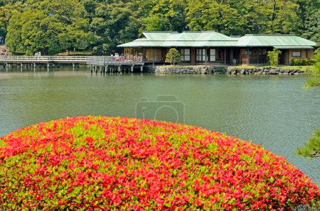 Téléchargez les photos : Lac dans le parc vert - en image libre de droit