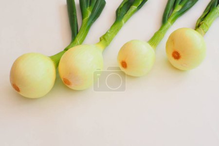 Téléchargez les photos : Gros plan de bulbes d'oignon bio frais sur fond blanc - en image libre de droit