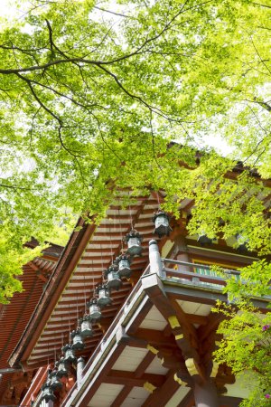 Téléchargez les photos : La partie sur le toit de l'architecture du Sanctuaire avec des branches vertes - en image libre de droit