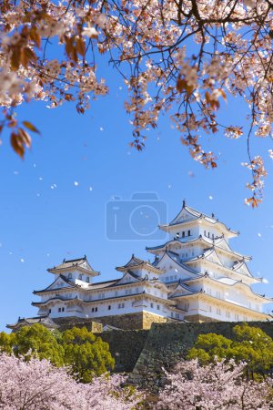 Téléchargez les photos : Osaka, Japon au château d'Osaka pendant la saison printanière - en image libre de droit