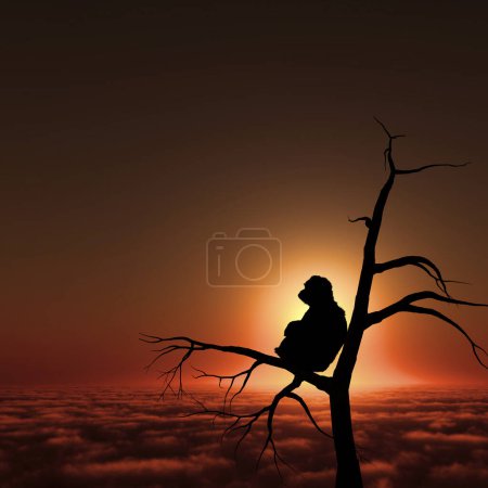 Téléchargez les photos : Silhouette de singe sur branche sur fond de coucher de soleil - en image libre de droit