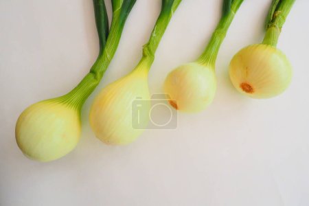 Foto de Cebollas frescas sobre fondo blanco - Imagen libre de derechos