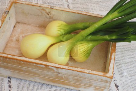 Téléchargez les photos : Gros plan de bulbes d'oignon bio frais dans une boîte en bois - en image libre de droit