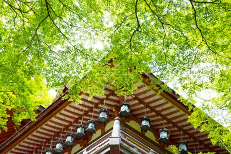 Téléchargez les photos : La partie sur le toit de l'architecture du Sanctuaire avec des branches vertes - en image libre de droit