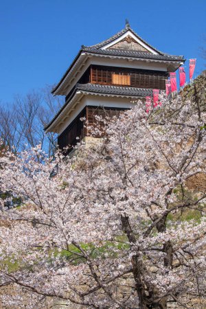 Chureito-Pagode im Frühling, fujiyoshida, Japan