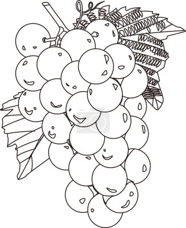 Foto de Ilustración del esquema de uvas, concepto de alimentos - Imagen libre de derechos