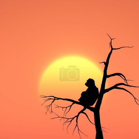 Téléchargez les photos : Silhouette de singe sur branche sur fond de coucher de soleil - en image libre de droit