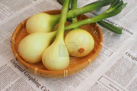 Foto de Primer plano de bulbos de cebolla orgánica fresca en tazón de bambú en el fondo del periódico - Imagen libre de derechos