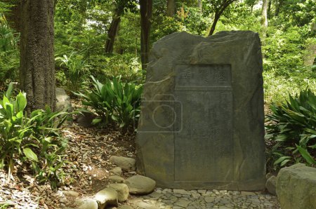 old stone in Koishikawa Korakuen Gardens, Japan