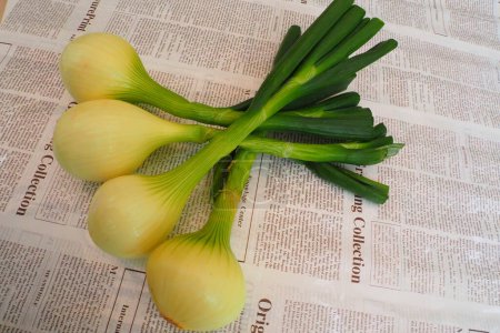 Foto de Primer plano de las bombillas de cebolla orgánica fresca en el fondo del periódico - Imagen libre de derechos