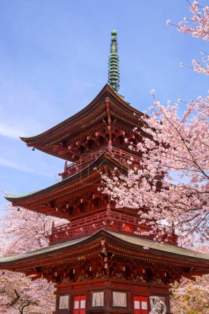 Chureito Pagoda in spring, Fujiyoshida, Japan