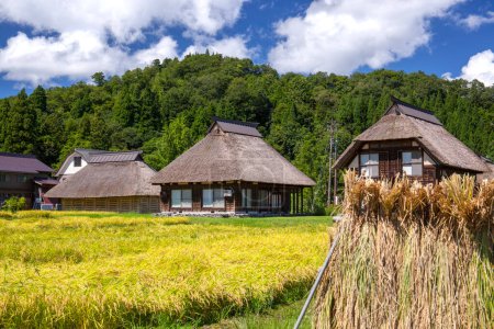 Foto de Pueblos históricos de Shirakawa-go y Gokayama, patrimonio mundial de la UNESCO en Japón. Antiguas casas tradicionales japonesas y campos de arroz - Imagen libre de derechos