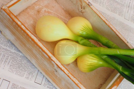 Téléchargez les photos : Gros plan de bulbes d'oignon bio frais dans une boîte en bois - en image libre de droit