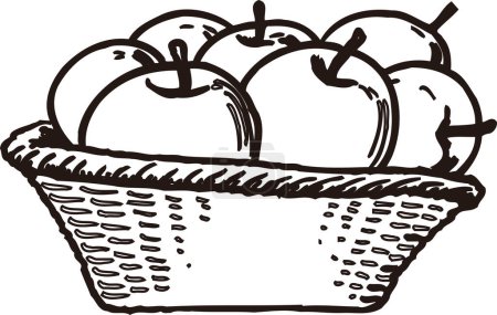 Foto de Manzanas en cesta esquema ilustración, concepto de alimentos - Imagen libre de derechos