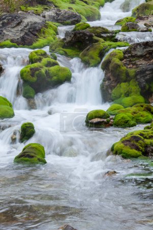 Photo for Mountain stream among the mossy stones - Royalty Free Image