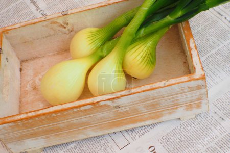 Foto de Primer plano de bulbos de cebolla orgánica fresca en caja de madera - Imagen libre de derechos