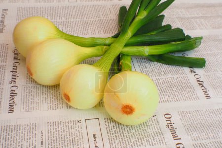 Foto de Primer plano de las bombillas de cebolla orgánica fresca en el fondo del periódico - Imagen libre de derechos