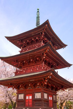 Photo for Chureito Pagoda in spring, Fujiyoshida, Japan - Royalty Free Image