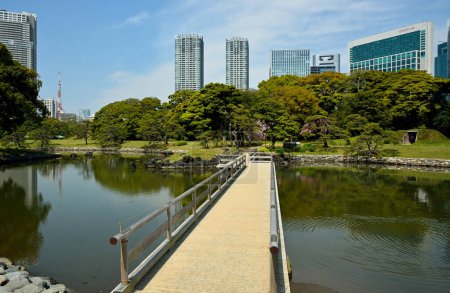 Photo for Green city park in Tokyo, Japan - Royalty Free Image