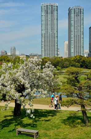 Foto de Parque verde de la ciudad en Tokio, Japón - Imagen libre de derechos