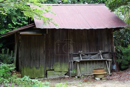 Téléchargez les photos : Façade du bâtiment abandonné dans la forêt - en image libre de droit