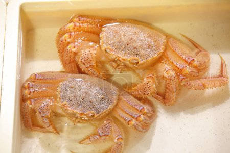 Téléchargez les photos : Crabes au marché de fruits de mer - en image libre de droit