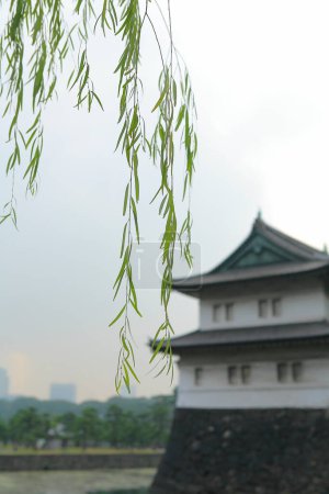 Téléchargez les photos : Fort de style japonais situé dans le palais impérial de Tokyo - en image libre de droit