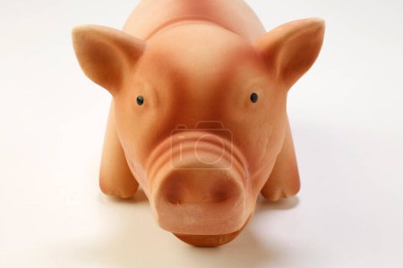 Photo for Pig piggy bank on white background - Royalty Free Image