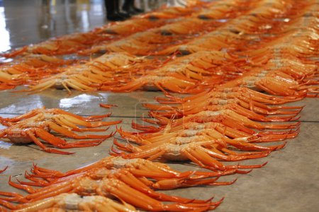 Foto de Muchos cangrejos en el suelo en el mercado de mariscos - Imagen libre de derechos