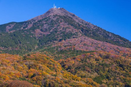 Foto de Hermosa montaña con árboles de arce de colores en otoño - Imagen libre de derechos