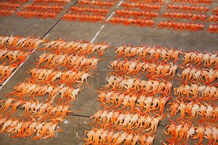 Téléchargez les photos : De nombreux crabes sur le sol au marché de fruits de mer - en image libre de droit
