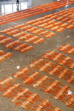 Photo for Many crabs on floor at seafood market - Royalty Free Image
