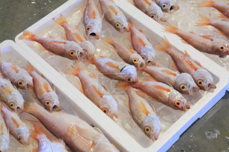 Foto de Pescado crudo en el mercado de productos del mar - Imagen libre de derechos
