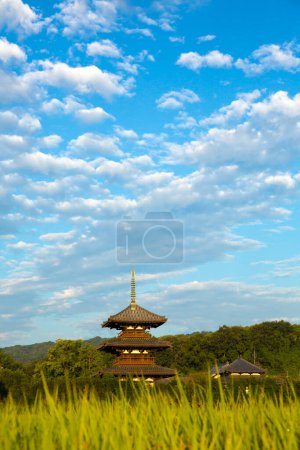 Téléchargez les photos : Vue panoramique de la rizière avec temple Hokiji sur fond - en image libre de droit