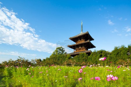 Szenische Ansicht des Reisfeldes mit Hokiji-Tempel auf dem Hintergrund
