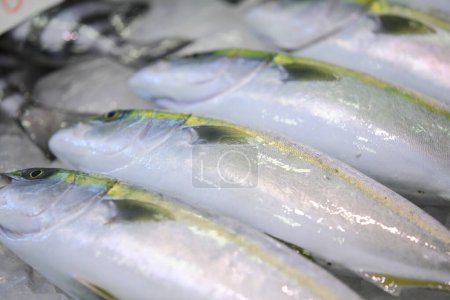 Photo for Raw fish at seafood market - Royalty Free Image
