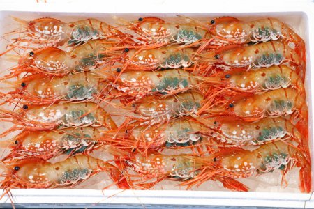 Téléchargez les photos : Fond de nombreuses crevettes, fruits de mer - en image libre de droit