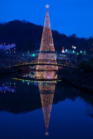 Foto de Árbol de Navidad iluminado con luces en el parque - Imagen libre de derechos