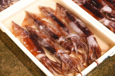 Photo for Raw calamari at seafood market - Royalty Free Image