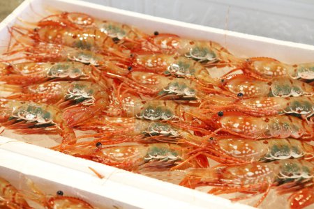 Téléchargez les photos : Fond de nombreuses crevettes, fruits de mer - en image libre de droit