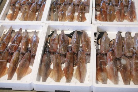 Foto de Calamares crudos en el mercado de mariscos - Imagen libre de derechos