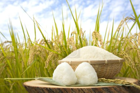 Foto de Bolas de arroz sobre mesa de madera sobre fondo de campo de arroz - Imagen libre de derechos