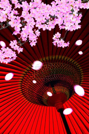 Photo for Red Japanese umbrella with sakura blossom - Royalty Free Image