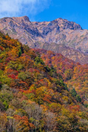 Foto de Paisaje de montaña durante el otoño - Imagen libre de derechos