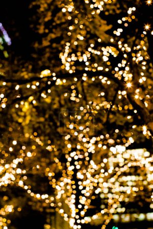 Foto de Un árbol iluminado en la ciudad por la noche - Imagen libre de derechos