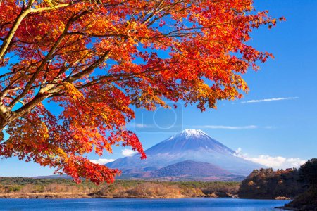 Foto de Montaña Fuji con lago kawaguchiko en Japón en la temporada de otoño con hojas de arce rojo - Imagen libre de derechos