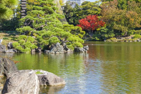 Téléchargez les photos : Automne au jardin japonais - en image libre de droit