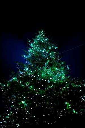 Photo for Beautiful illuminated Christmas tree on dark sky background - Royalty Free Image