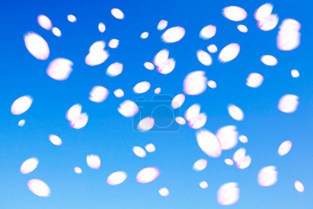 Foto de Pétalos florales blancos cayendo en el cielo azul. - Imagen libre de derechos